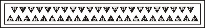 f13.jpg (21163 bytes)